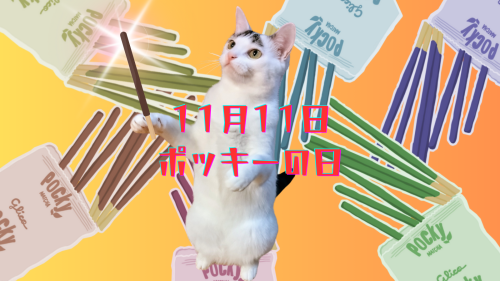 11月11日-ポッキーの日 20241111 102654 0000