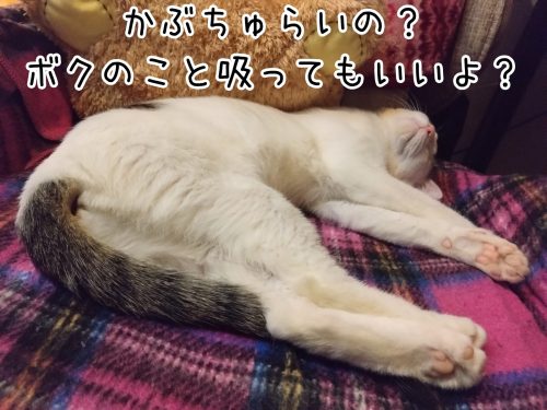 1712287759090