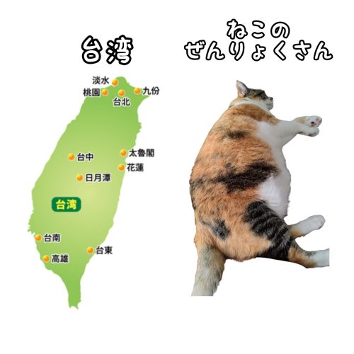 1724397411011