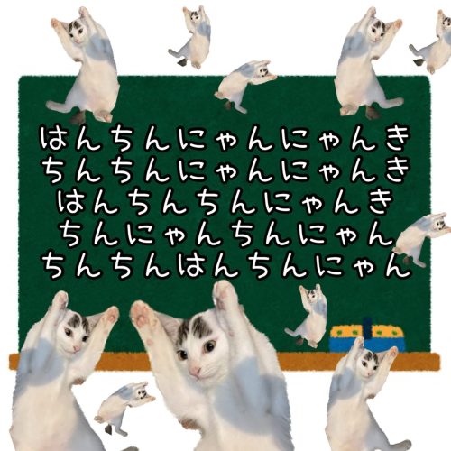 20231110 141940