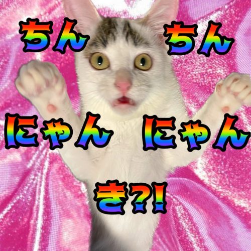 20231110 142249