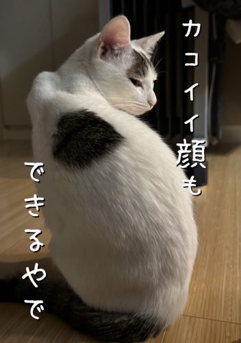 20240706 084532