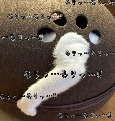 20241030 105910