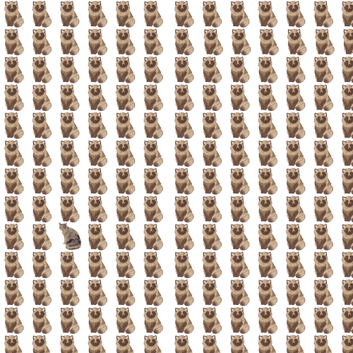 20241209 123725 0000
