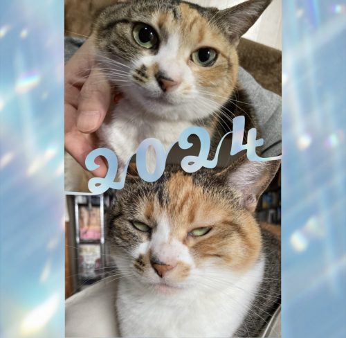 20241210 111456
