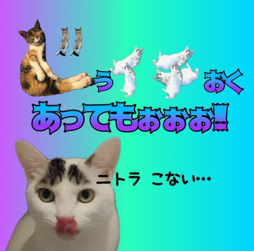 20241231 103049