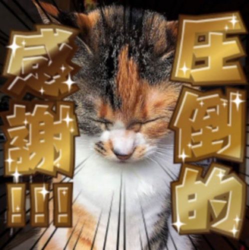 20250101 150136