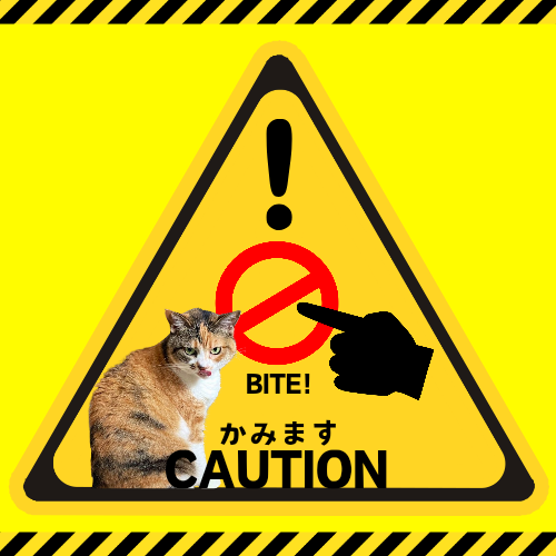 BITE！ 20240914 212213 0000
