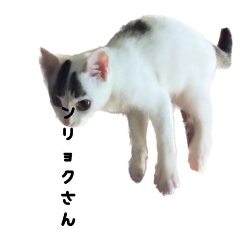 IMG 20231107 213427 172
