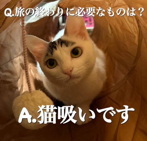 IMG 20240628 220318 682