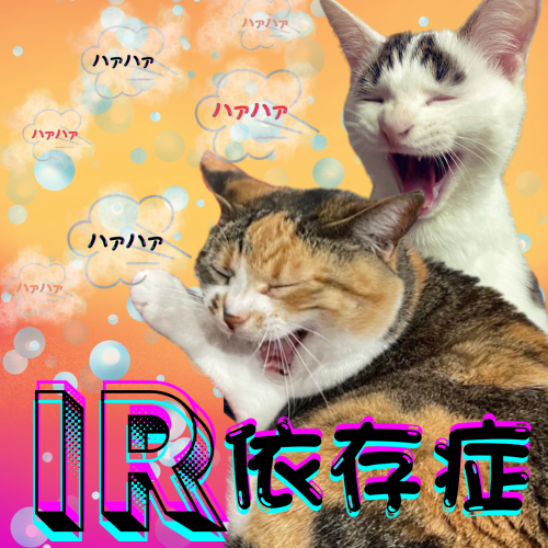 IR 20241129 124104 0000
