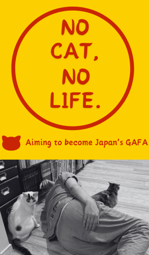 NO-CAT 20241220 192143 0000