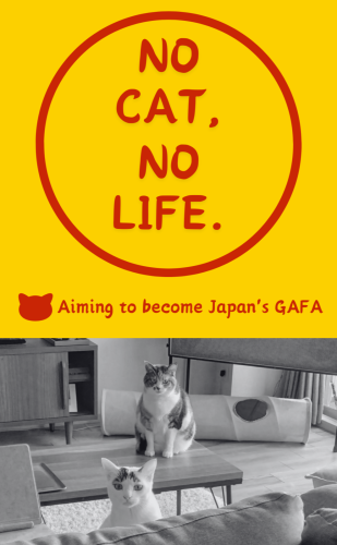 NO-CAT 20241220 214451 0000