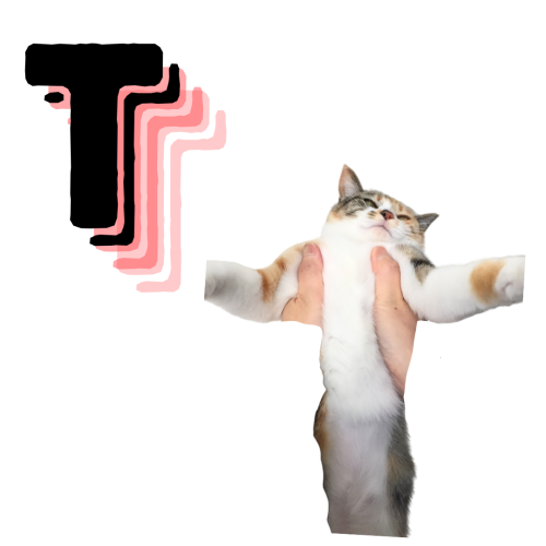 T 20241226 211311 0000
