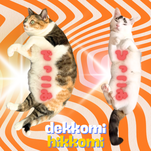 dekkomi-hikkomi 20241220 203113 0000