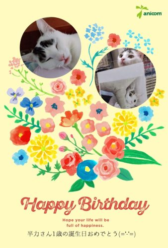 greeting card