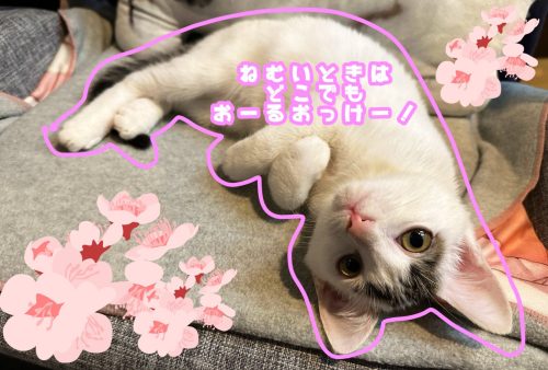image 123650291