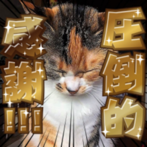 original 7c1e0e70-aa6f-4b0b-92b6-78df9a09a267 Screenshot 20240701-104809