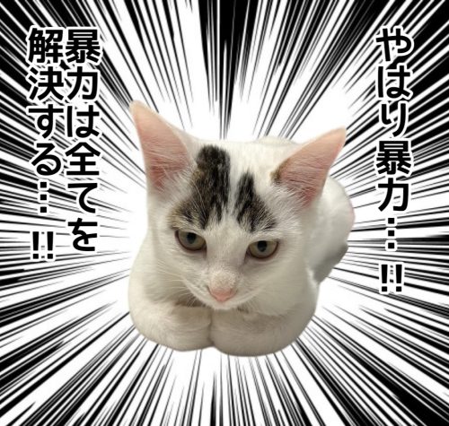original 8d88f685-e913-4e75-bf4a-de227170076e 1718332397202