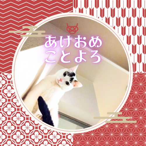 あけおめ-ことよろ 20250101 003539 0000