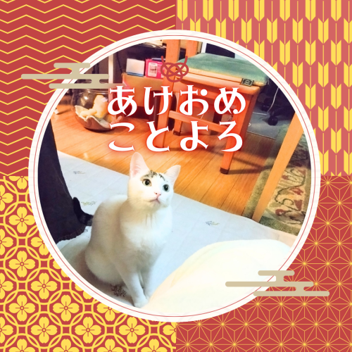 あけおめ-ことよろ 20250101 003708 0000