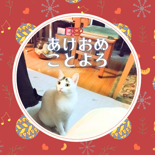 あけおめ-ことよろ 20250101 004131 0000