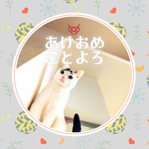 あけおめ-ことよろ 20250101 004252 0000