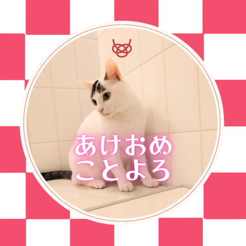 あけおめ-ことよろ 20250101 004650 0000