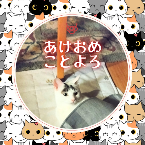 あけおめ-ことよろ 20250101 005325 0000