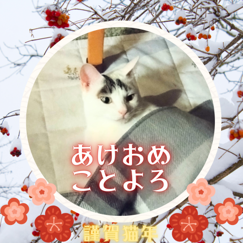 あけおめ-ことよろ 20250101 132513 0000