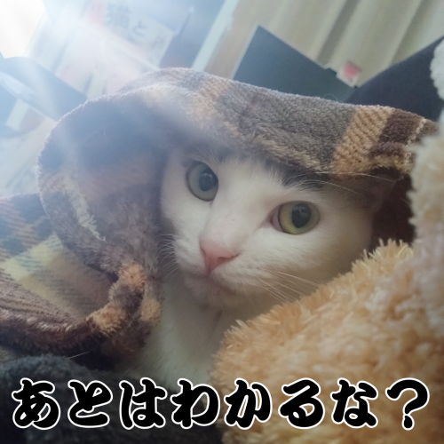 あとはわかるな 20241222 120343 0000