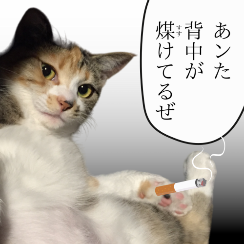 あンた-背中が-煤けてるぜ 20241126 112833 0000