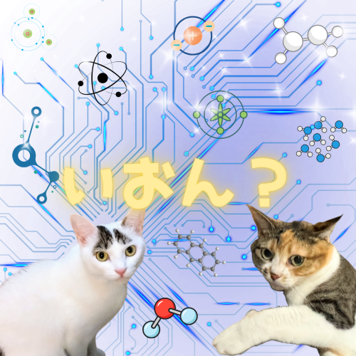 いおん？ 20241222 131857 0000