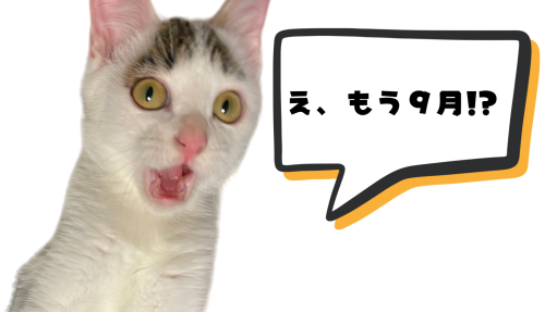 え、もう９月！？ 20240901 203124 00002