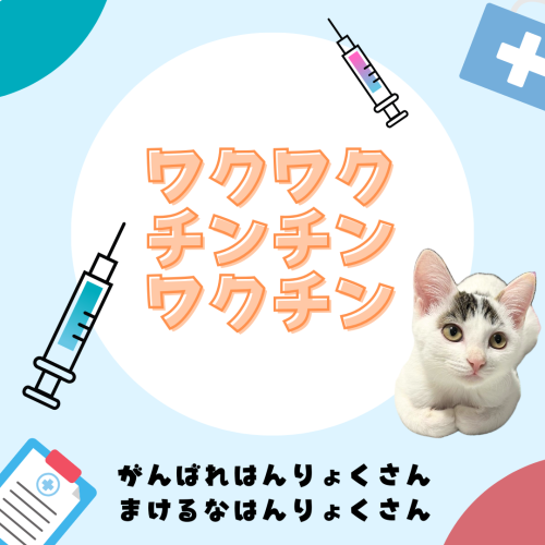 がんばえはんりょくさん 20241206 072652 0000