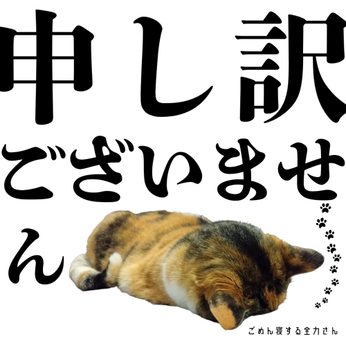 ございません 20241214 102832 0000