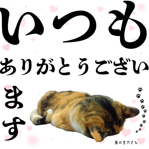 ございません 20241214 103143 0000