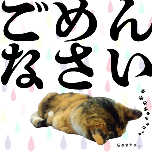 ございません 20241214 103414 0000
