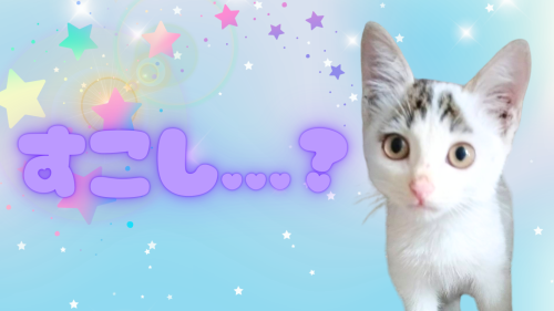 すこし？ 20240927 141728 0000