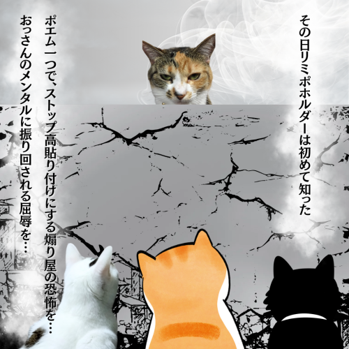 その日リミポホルダーは初めて知った 20241126 162801 0000
