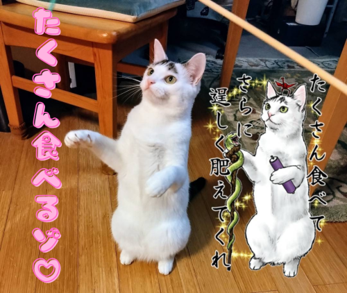 たくさん食べるゾ 20250103 125833 0000