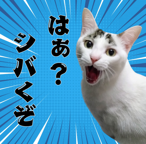 はぁ？-シバくぞ 20241217 231712 0000