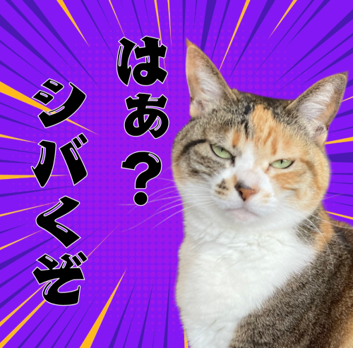 はぁ？-シバくぞ 20241217 231828 0000