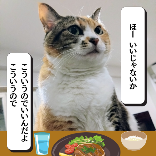 ほーいいじゃないかいいじゃないか 20241213 203616 0000