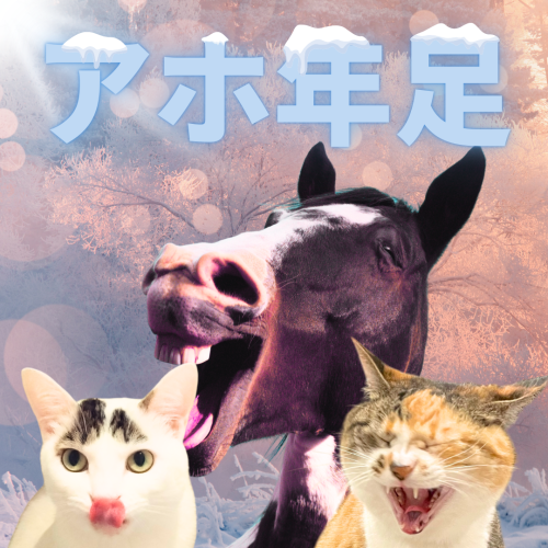 アホ年足 20241230 125945 0000