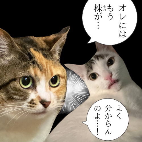 オレには-もう-株が… 20241126 111218 0000