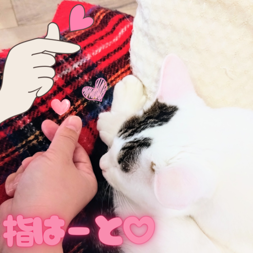 ギュッ 20241128 100728 0000