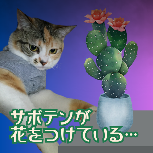 サボテンが-花をつけている… 20241130 154349 0000