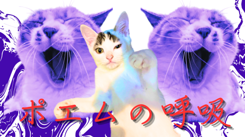 ポエムの呼吸 20240905 143501 0000