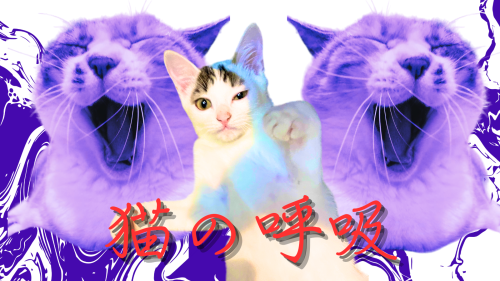 ポエムの呼吸 20240905 143705 0000